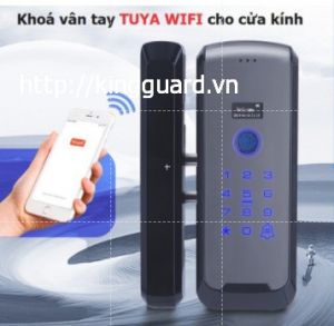 Khoá vân tay cao cấp cho cửa kính cường lực App TUYA WIFI - VLK-GD003TA